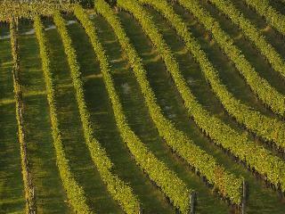 Agroturismo Enolocanda Del Tufo
