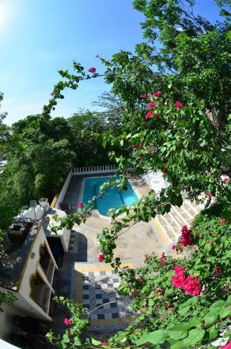 Hostal Jardin Etnobotanico Villa Ludovica