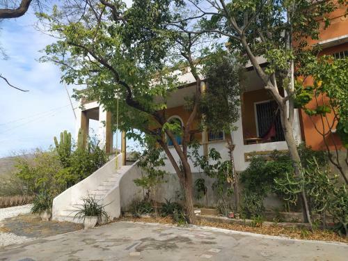 Hostal Jardin Etnobotanico Villa Ludovica