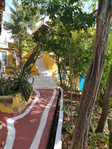 Hostal Jardin Etnobotanico Villa Ludovica