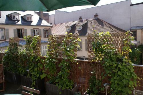 Apartamento Studio De L'h�tel De Ville