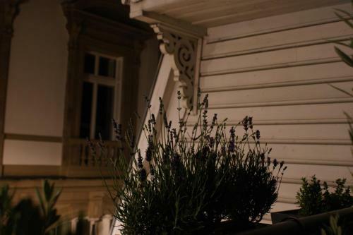 Apartamento Studio De L'h�tel De Ville