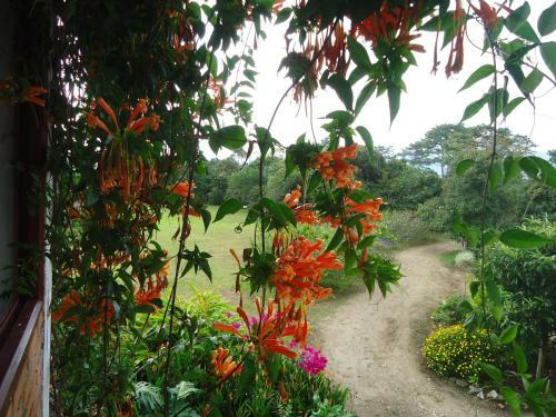 Hostal Hotel Pachamama
