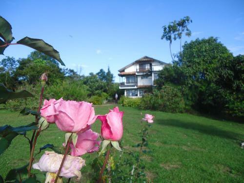 Hostal Hotel Pachamama
