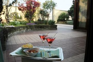 Hotel Pegaso