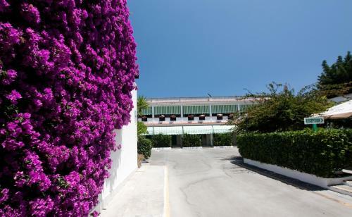 Residencia Villaggio Nemo