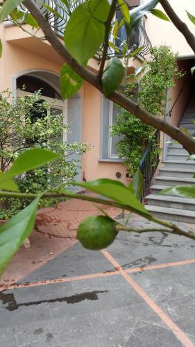 Apartamentos Palazzo Virginio