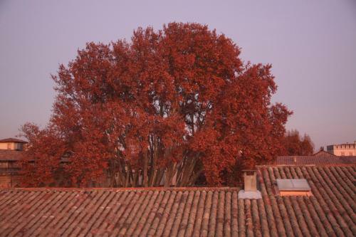 Apartamento A La Terrasse D'avignon