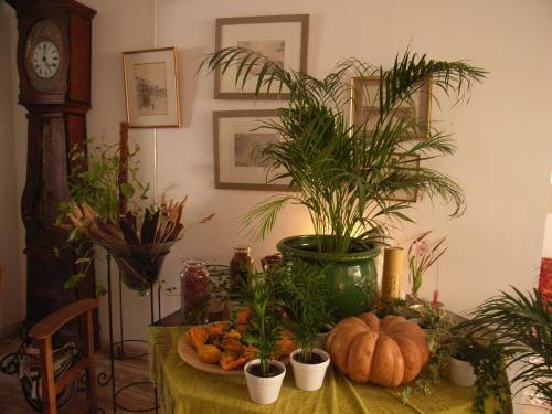 B&B Caza Sereyna