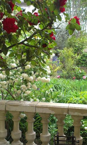 B&B Caza Sereyna