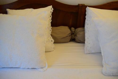 Hostal Cocooning Avignon