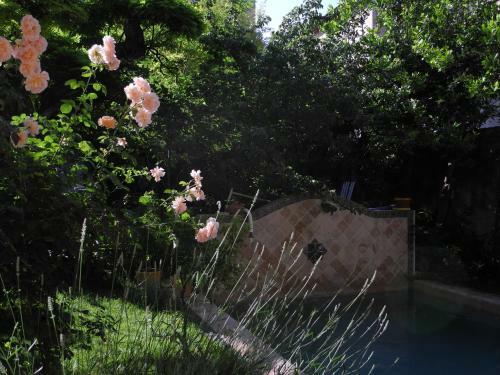 Bed & Breakfast Ma Chambre � Montpellier
