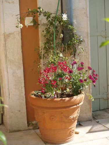 Bed & Breakfast Ma Chambre � Montpellier