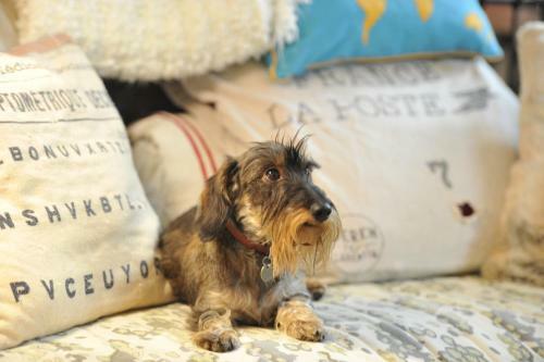 Bed & Breakfast Chambre D'autres