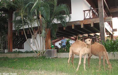 Hotel Villa Cayo Saetia