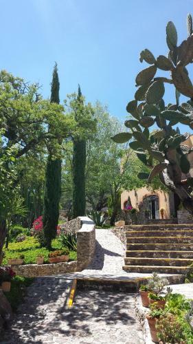 La Casa Del Mezquite - Boutique Villas Xichu