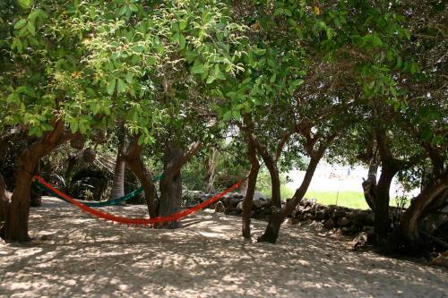 Hotel Bungalows Junto Al Rio