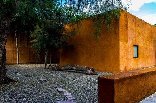 Hotel Boutique Cosijo