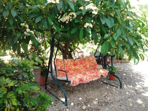 Hotel Villa Ortensia