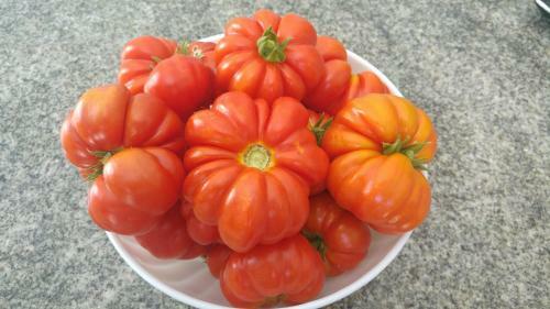 Hotel Villa Ortensia