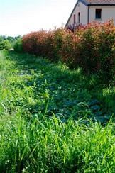 Bed & Breakfast Corte Dei Gioghi