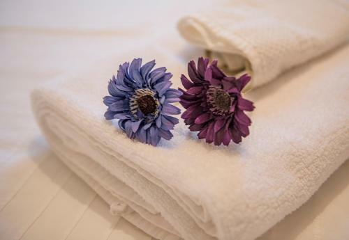 Apartamentos Atholl Brae