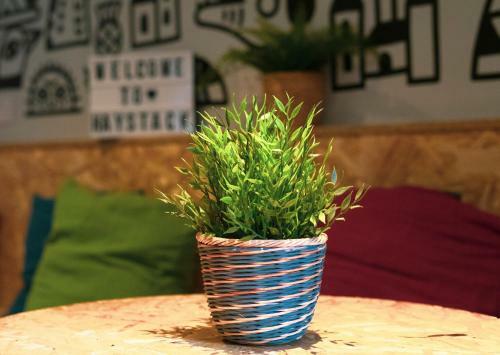 Haggis Hostels