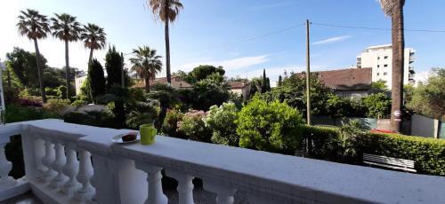 Apartamento Winter Palace 1