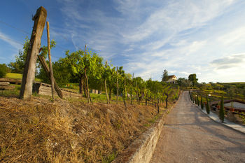Apartamentos Resort Umbria Spa