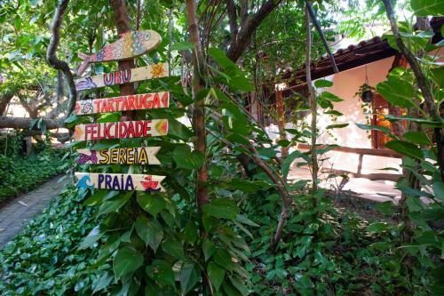 Hostal Pousada Pau Brasil Ubu