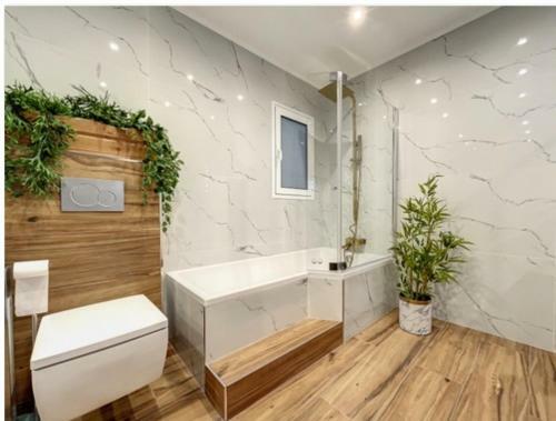 Apartamento Appartement Palais Des Festivals