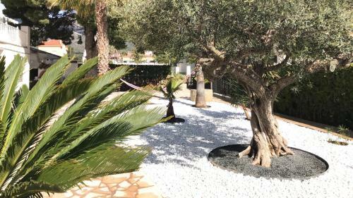 Apartamento Vpld-vplg Playa