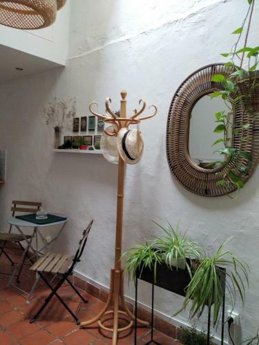 Apartamento Appartement Arles Centre Historique