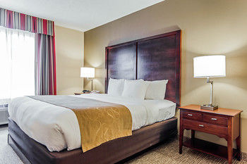 Hotel Comfort Suites Sumter
