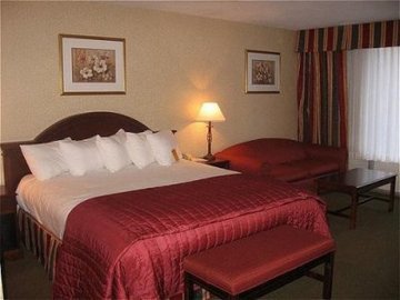 Hotel Holiday Inn Danbury-bethel At I-84