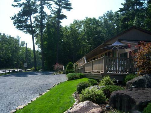 Tall Pines Motel
