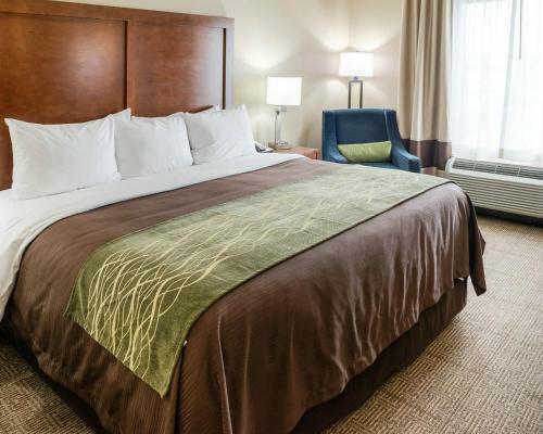 Hotel Comfort Inn & Suites- Rochester