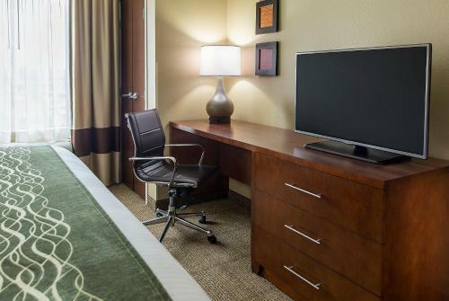 Hotel Comfort Inn & Suites- Rochester