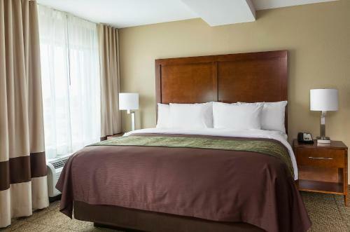 Hotel Comfort Inn & Suites- Rochester