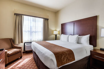Hotel Comfort Suites Webster