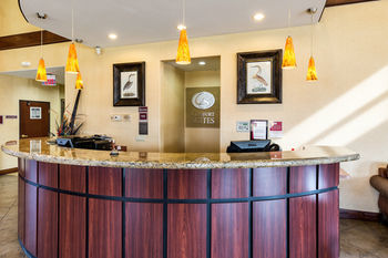 Hotel Comfort Suites Webster