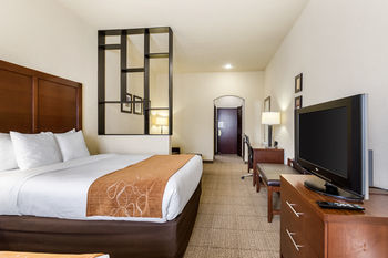 Hotel Comfort Suites Webster