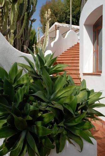 Hotel La Locanda Azzurra B&B