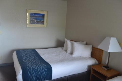 Motel Absaroka Lodge