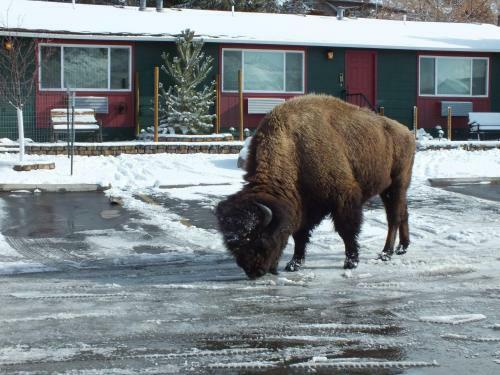 Posada Yellowstone Gateway Inn