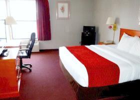 Hotel Comfort Inn Near Fallon Naval Air Station