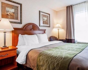 Albergue Comfort Inn Racine