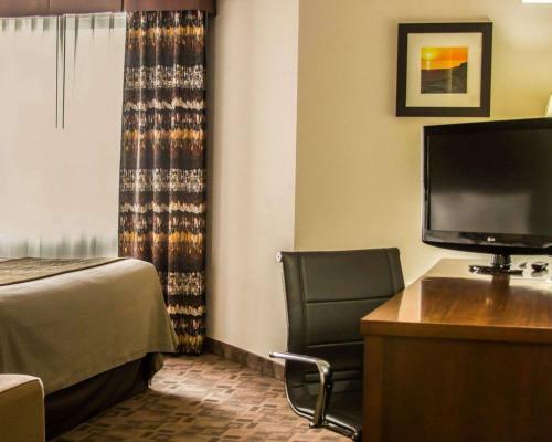 Hotel Comfort Inn Birch Run