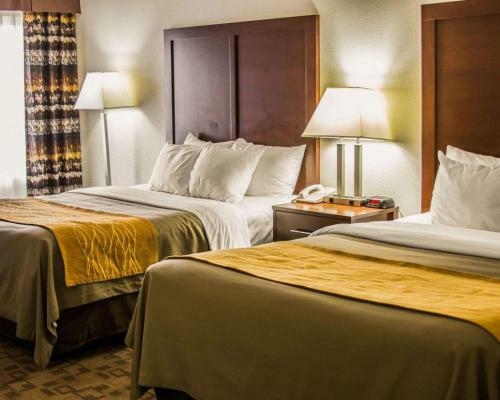 Hotel Comfort Inn Birch Run