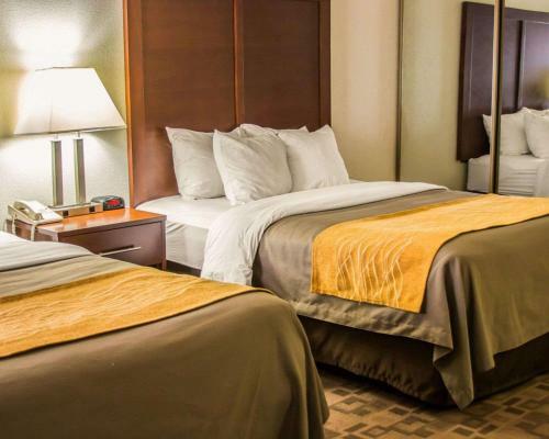 Hotel Comfort Inn Birch Run